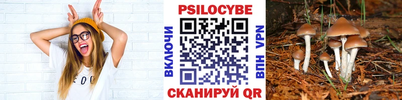 Псилоцибиновые грибы Psilocybe  где купить наркоту  hydra сайт  Ялуторовск 
